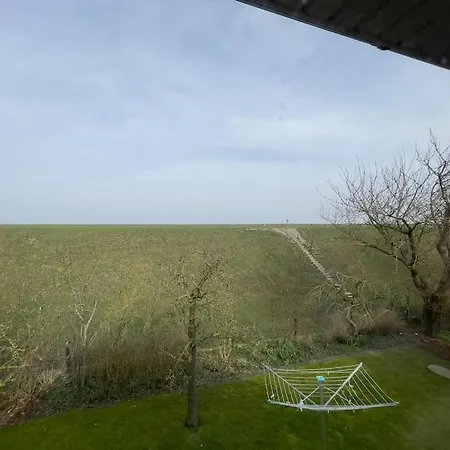 Im Schafhaus * Schillig